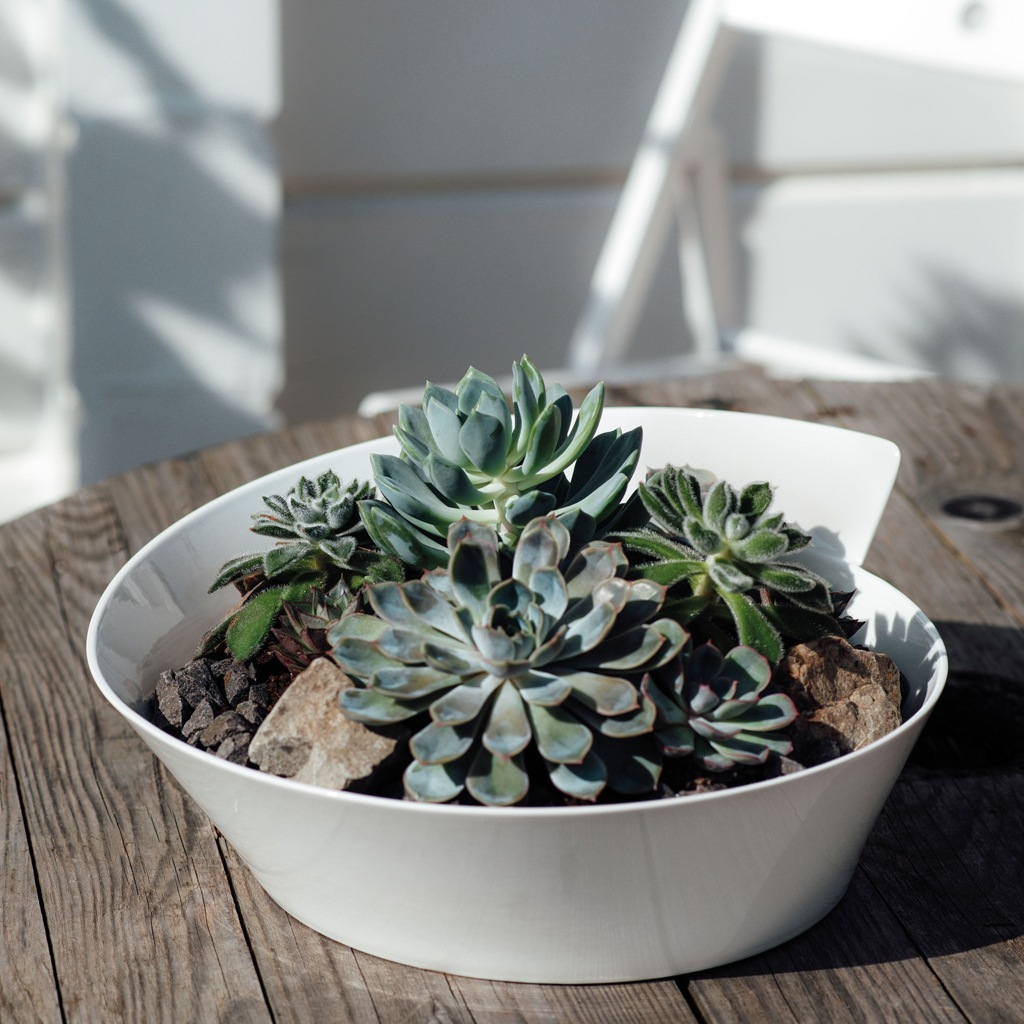 Villeroy & Boch didelis salotų dubuo/terinas NewWave - 1 vnt.