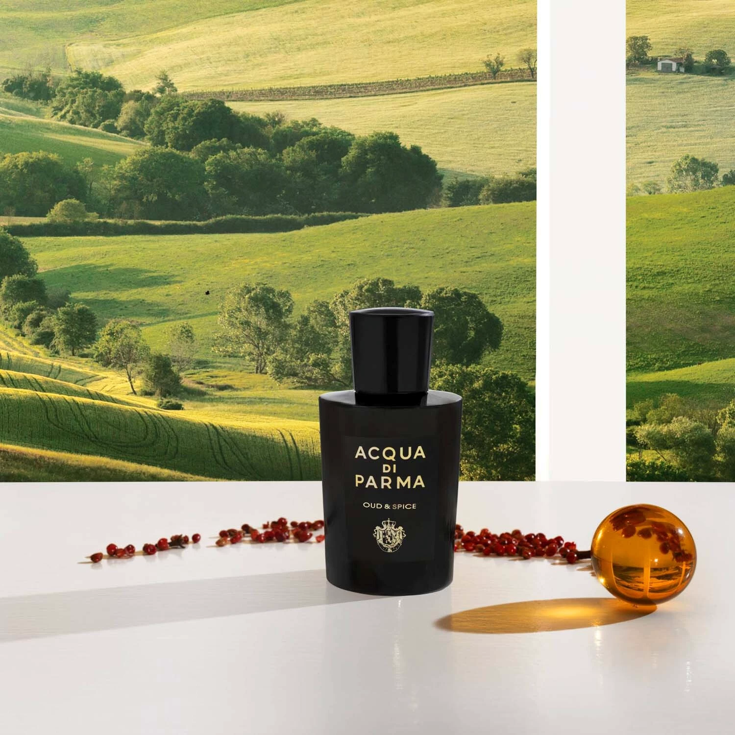 Signature Oud & Spice EdP 100 ml - Acqua di Parma