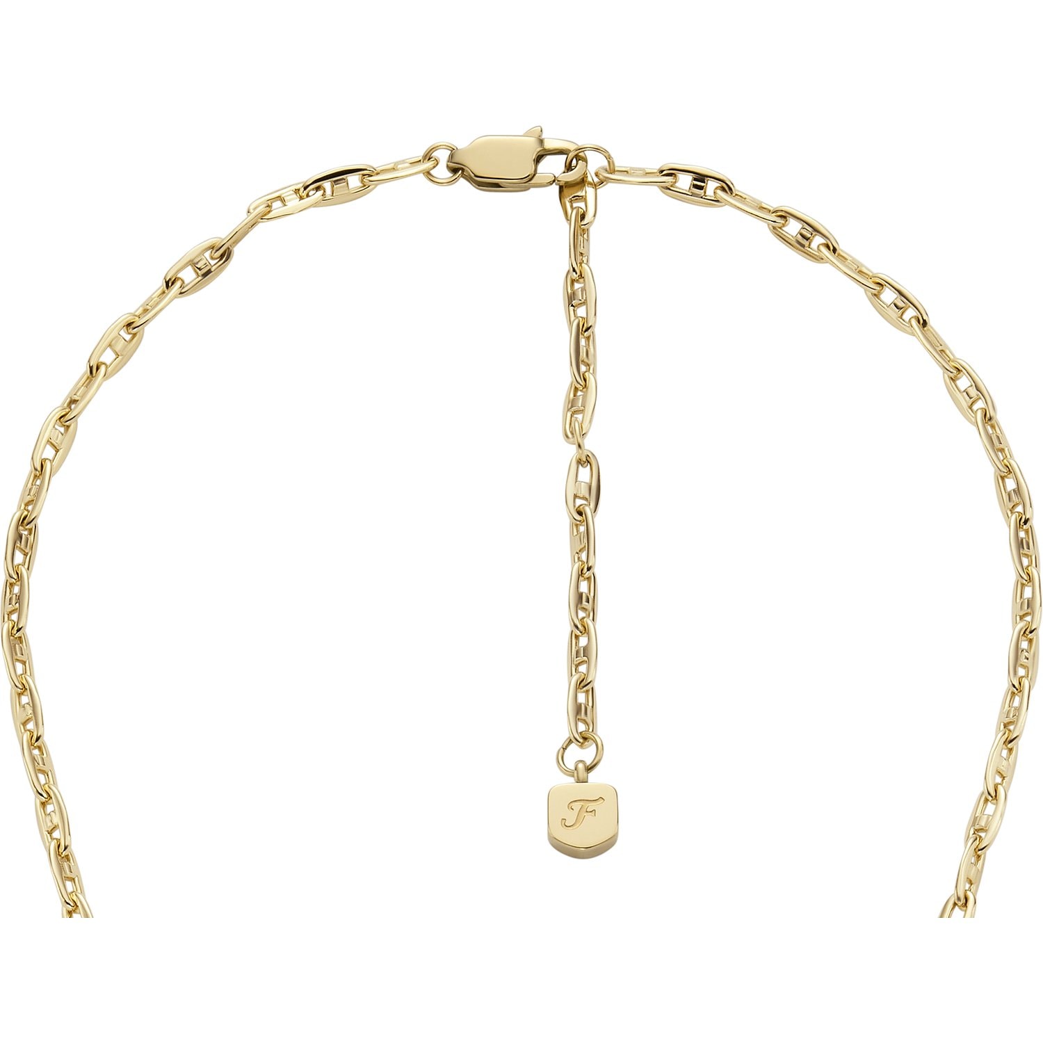 Fossil Chaînes