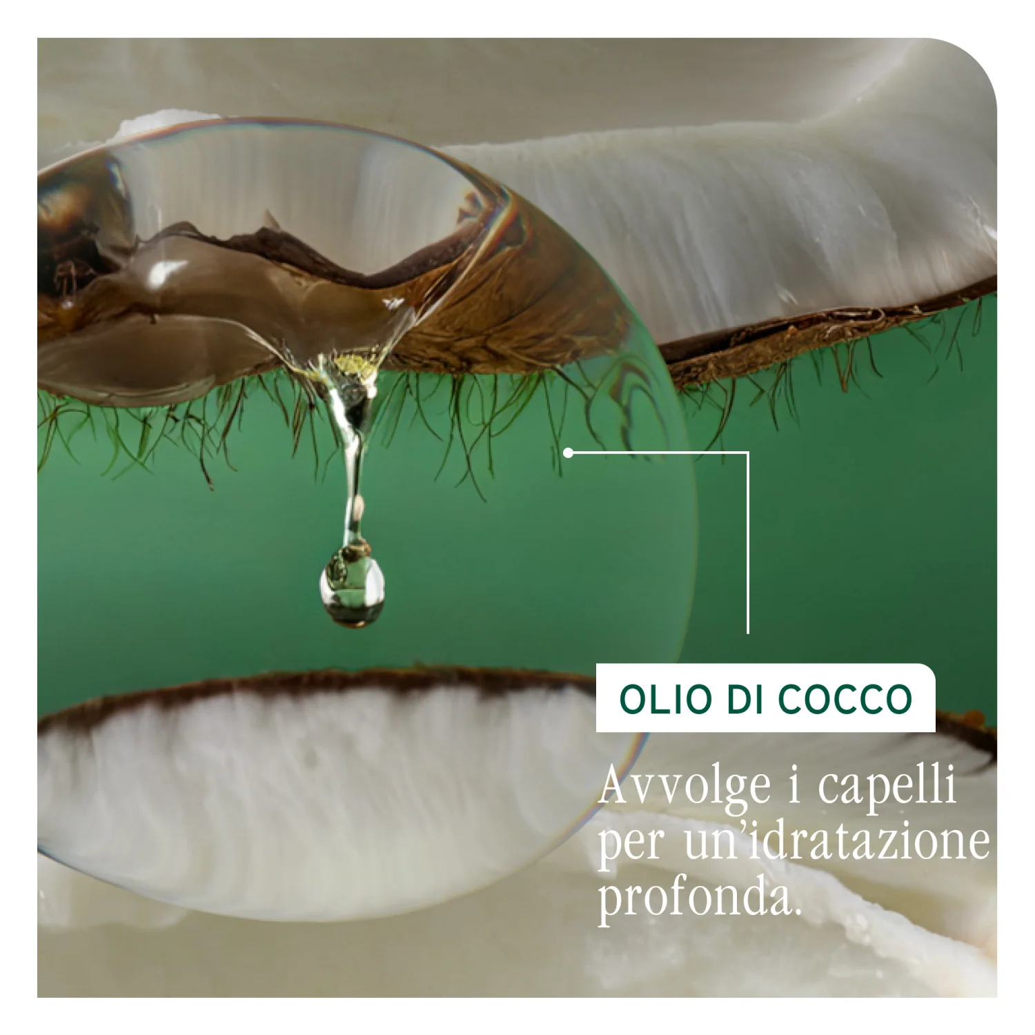 Bond Therapy Conditioner - Balsamo Rivitalizzante Capelli