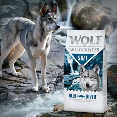 Wolf of Wilderness Soft „Blue River” - Łosoś