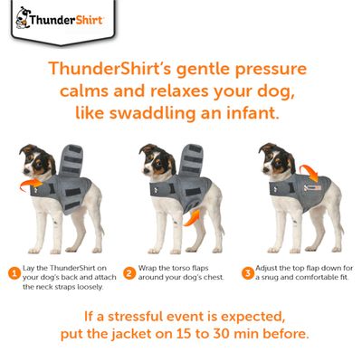 Gilet anti-anxiété pour chien ThunderShirt - Gris