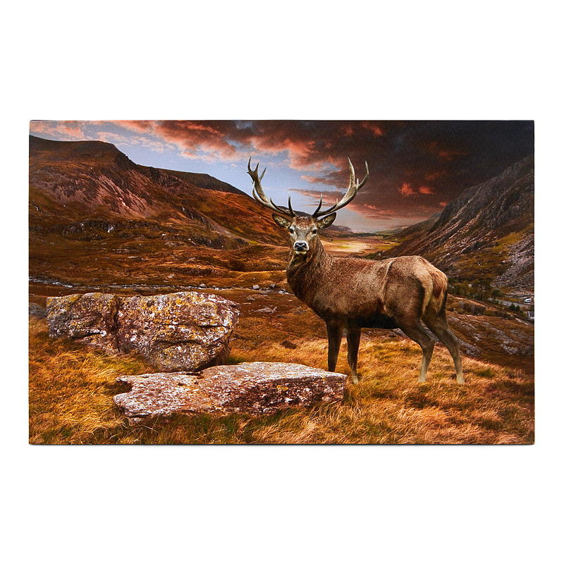 Hjem Lerretsbilde 38x58 cm LED/fiberoptikk Høst