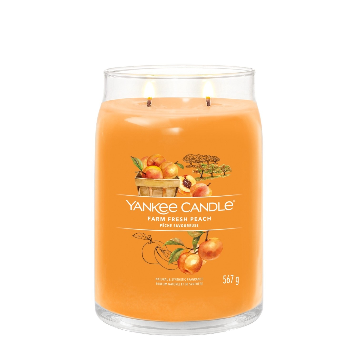 YANKEE CANDLE Grande Jarre Pêche Savoureuse