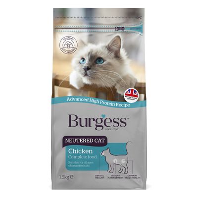 Wysterylizowany kot Burgess z kurczakiem