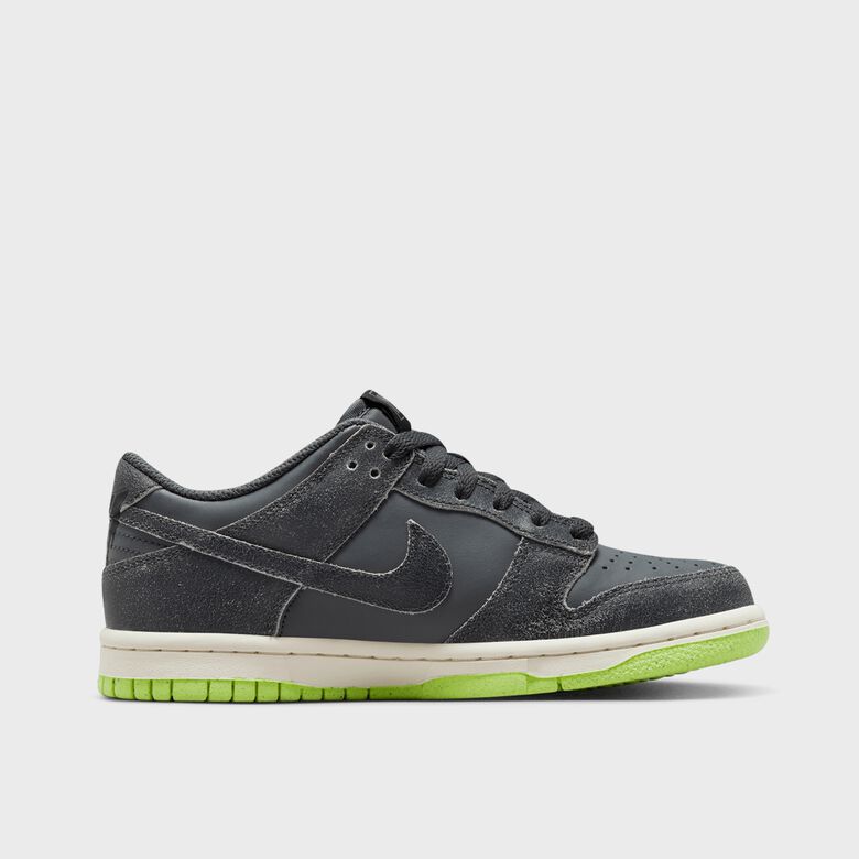 Dunk Low SE (GS)