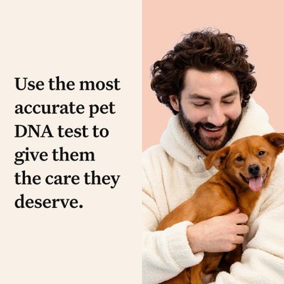 Wisdom Panel™ Premium DNA-test for hunder