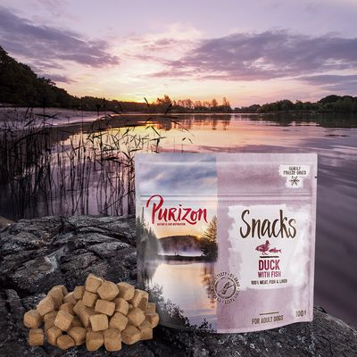 Purizon Dog Snacks Grain-Free Saver Pack 3 x 100 g