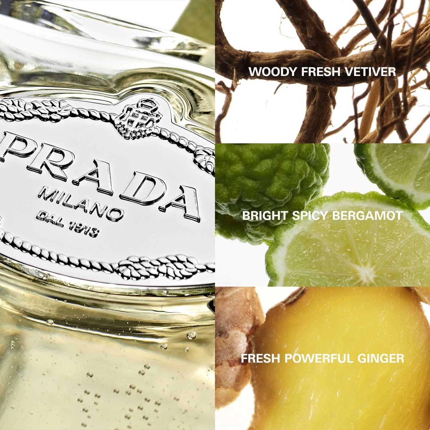 Infuzie De Vetiver EdP 100 ml - Prada