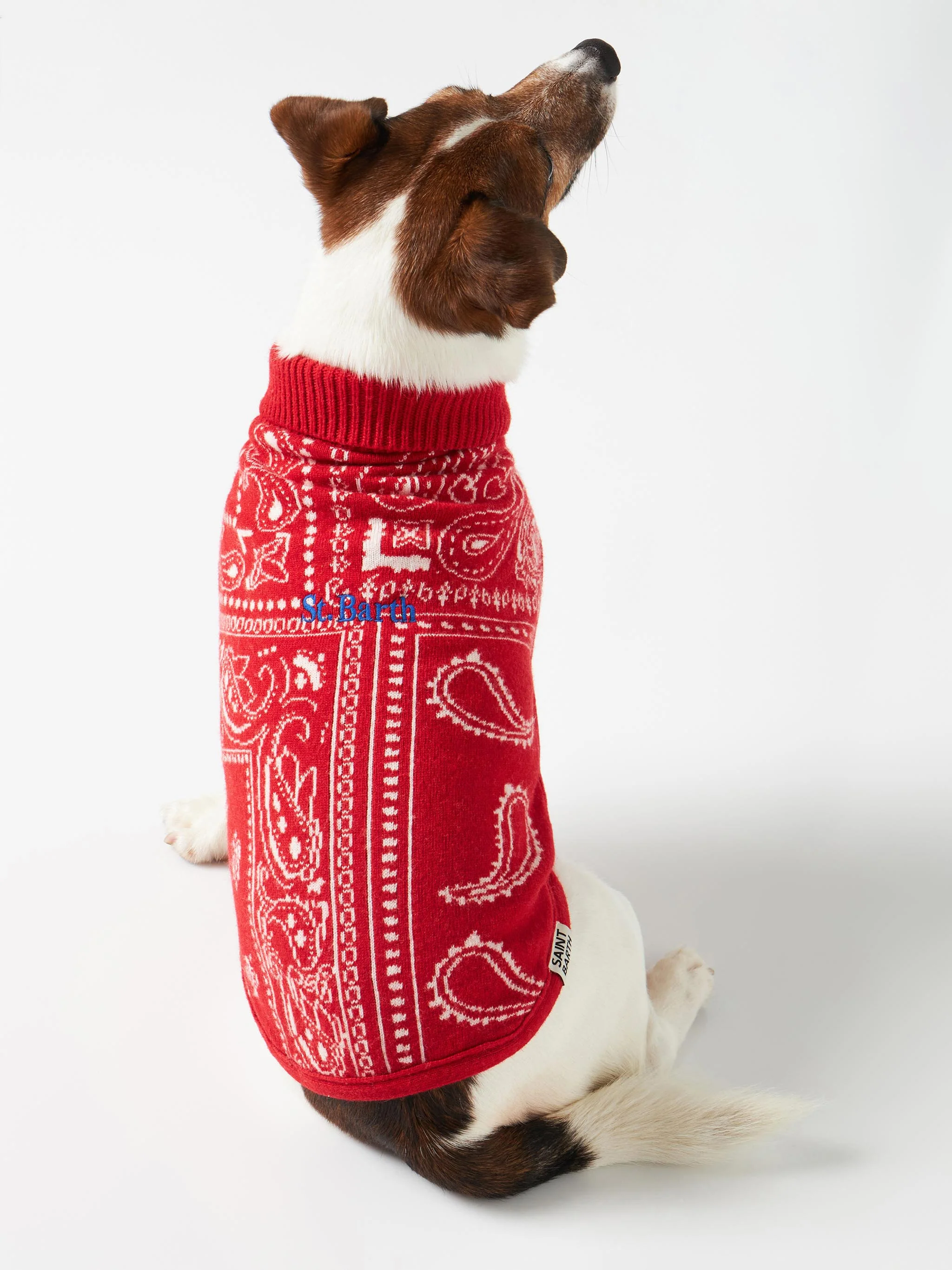 Jersey para perro con estampado de pañuelo