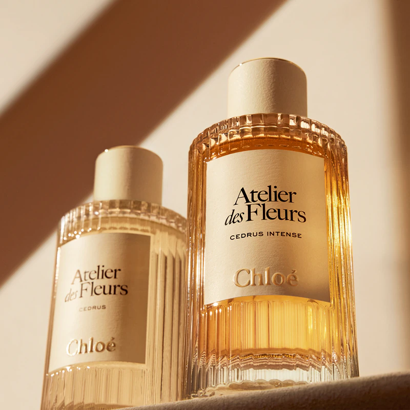 Chloé Atelier des Fleurs Cedrus Intense Eau de Parfum para mulheres