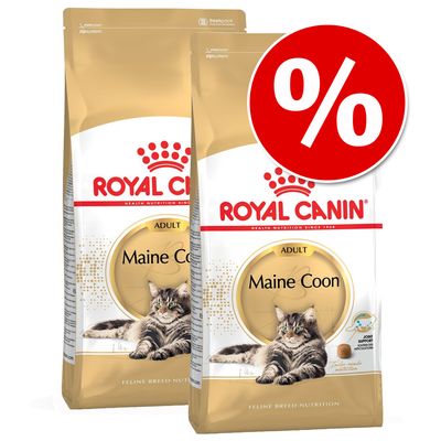 Royal Canin, cibo secco per gatti di diverse razze, confezioni economiche