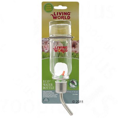Bouteille d'eau en verre Living World