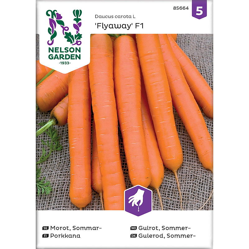 Nelson garden Porkkanan siemenet Kesä, Flyaway F1