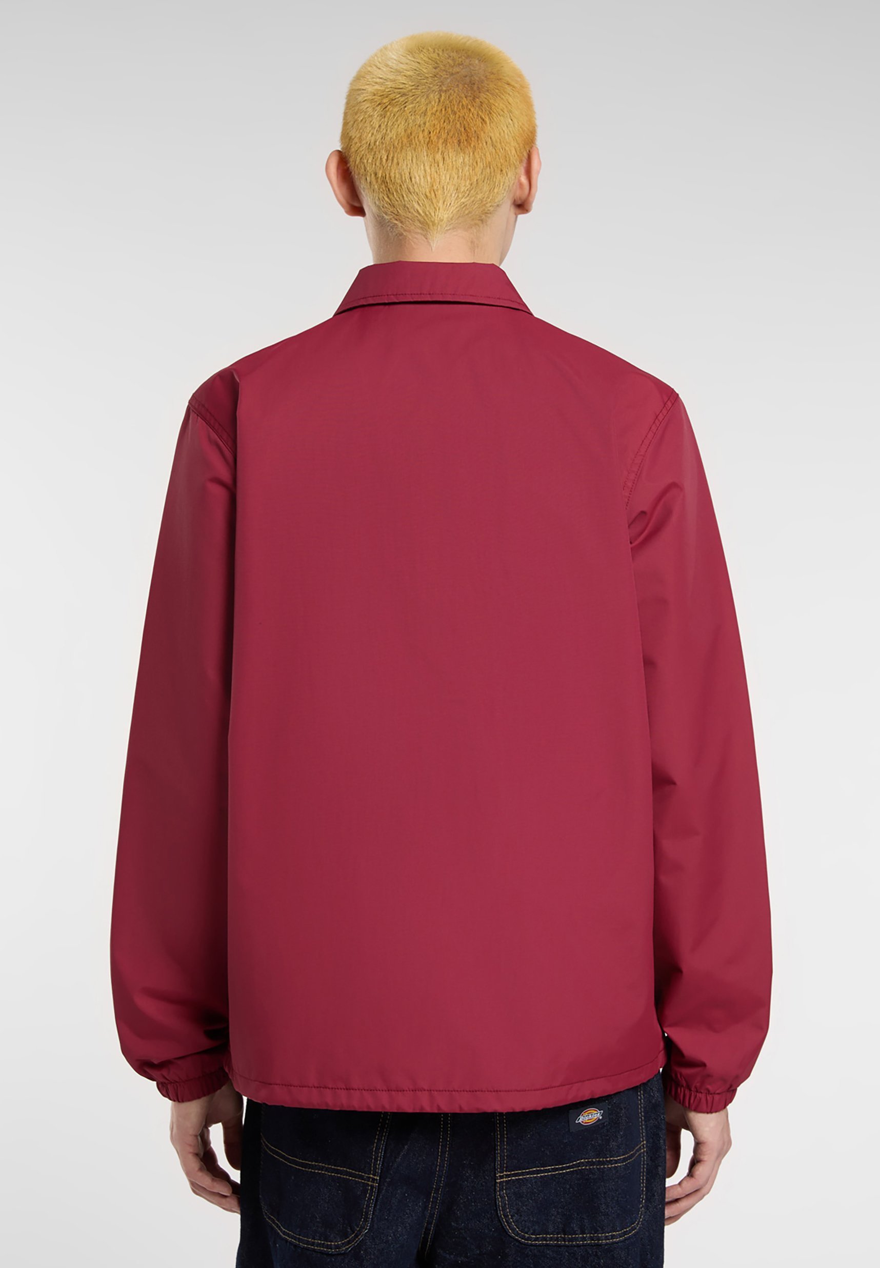 Dickies tussenjassen
