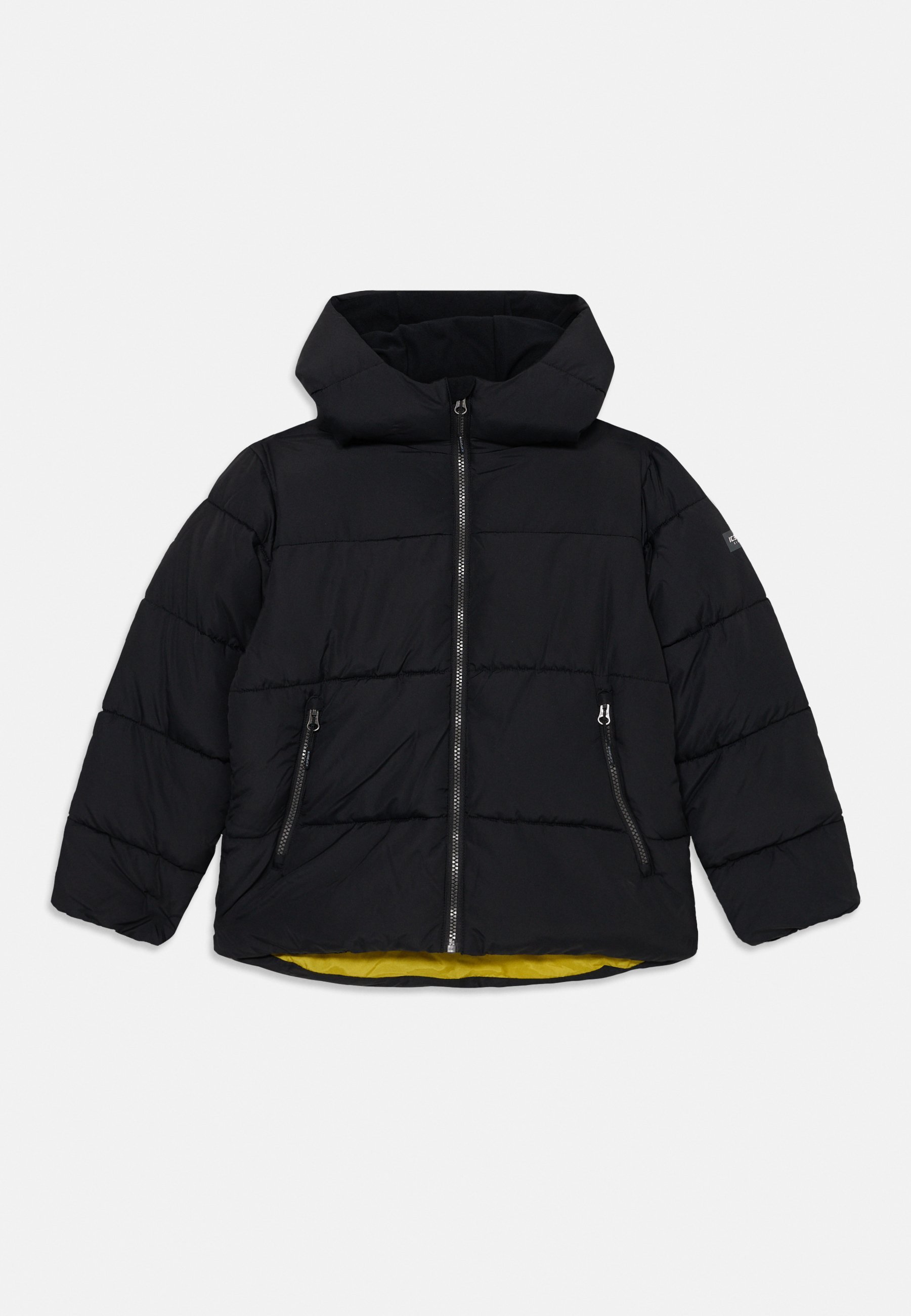 Icepeak KENMARE UNISEX - Winterjacke - Schwarz