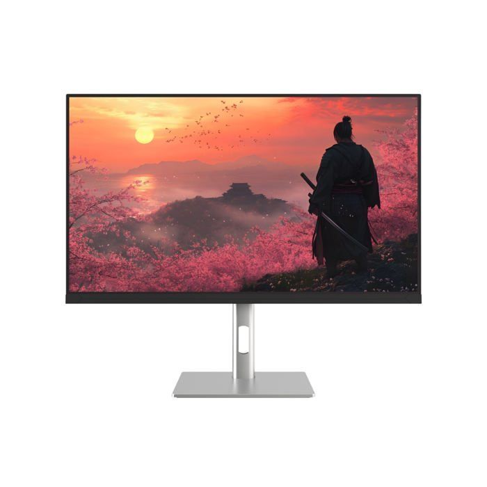 Ecran PC Gamer - JAPANNEXT - 27