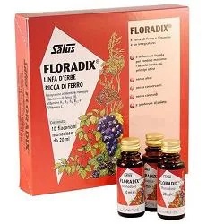 FLORADIX Floradix dose unique de 10 ml