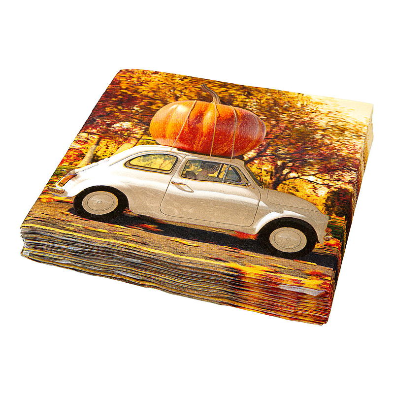 Vie Eco -lautasliinat 20 kpl 33x33 cm, talvi