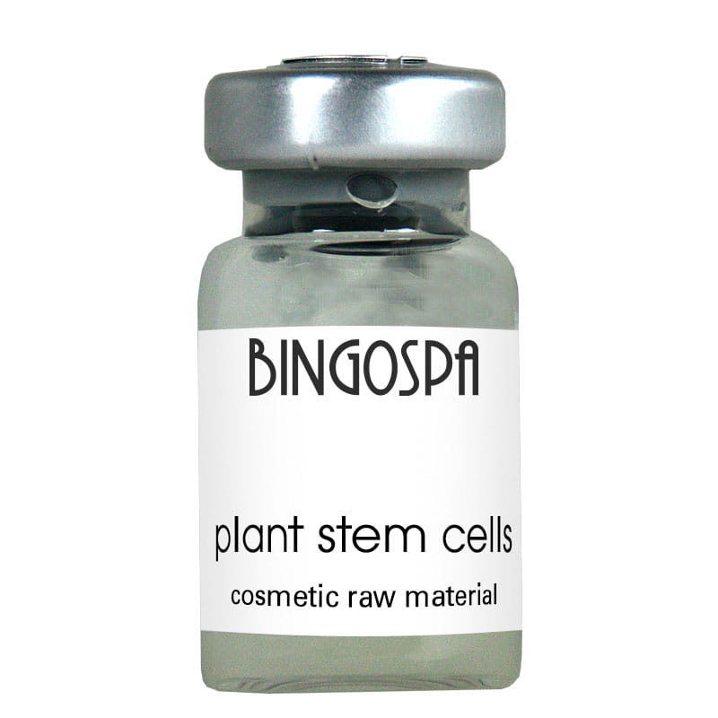 Bingospa