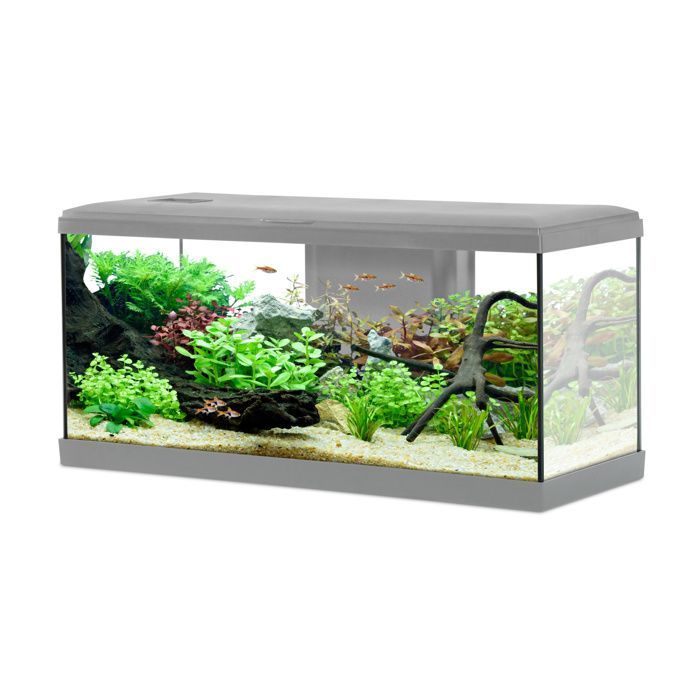 Tana LED fish aquarium 80cm gray - Zolux Gray