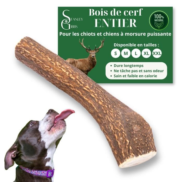 Bois de cerf pour Chien a Macher Entier Taille XL Friandise pour Chiots et Chiens de Tout ges Jouet Mastication 1 pice