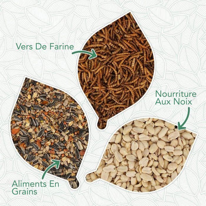 Mangeoire à Oiseaux Exterieur Suspendue - Imperméable - Mangeoire Oiseaux Exterieur avec Distributeur Graines