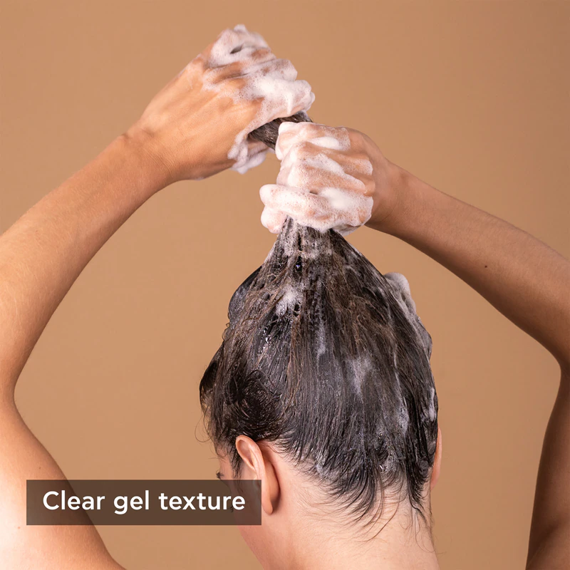 Shampoo Anticaspa Seco Apivita