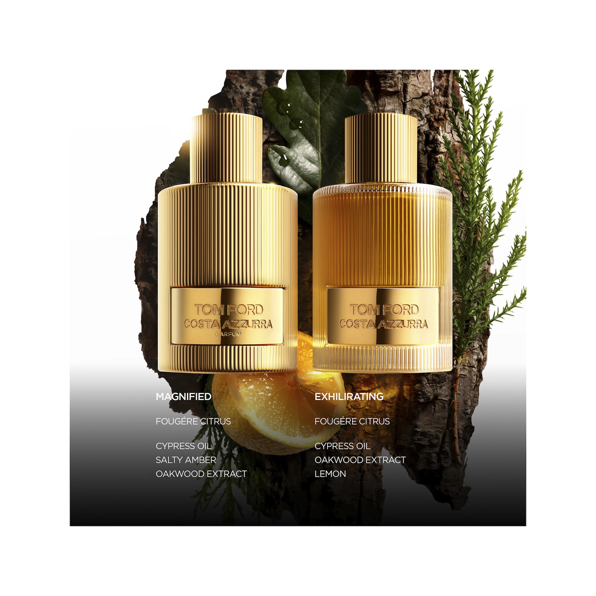 Costa Azzurra Parfum 100 ml - TOM FORD