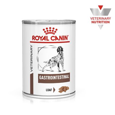 Pain gastro-intestinal vétérinaire Royal Canin pour chiens