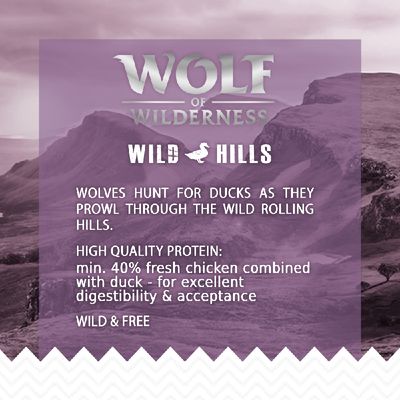 Wolf of Wilderness Adult 