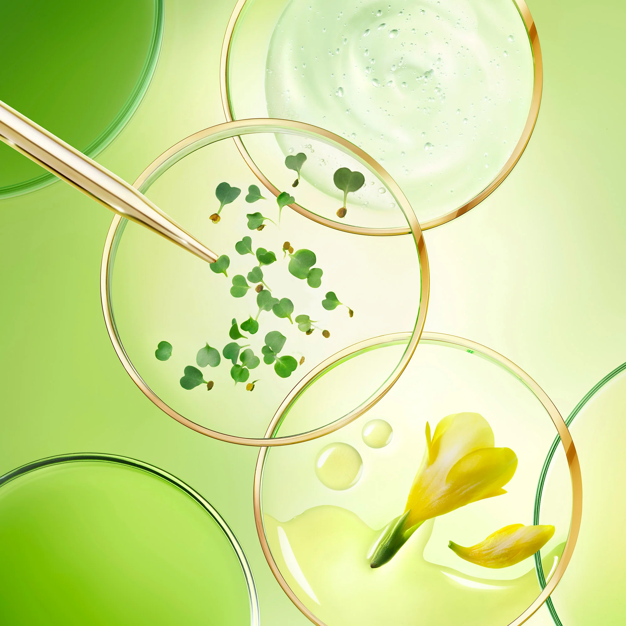 Nuxuriance Ultra Crema Anti-Età Globale SPF30 - Crema viso giorno antirughe, Crema viso giorno effetto globale, Trattamenti Protettivi