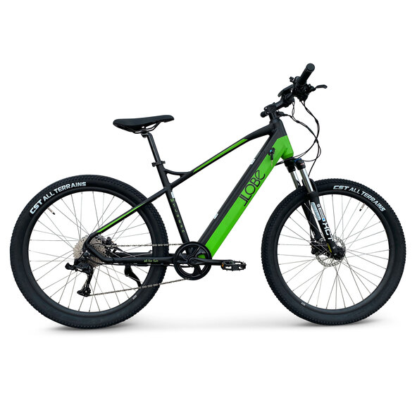 Bicicleta de montaña Alu-Elektro MTLogan