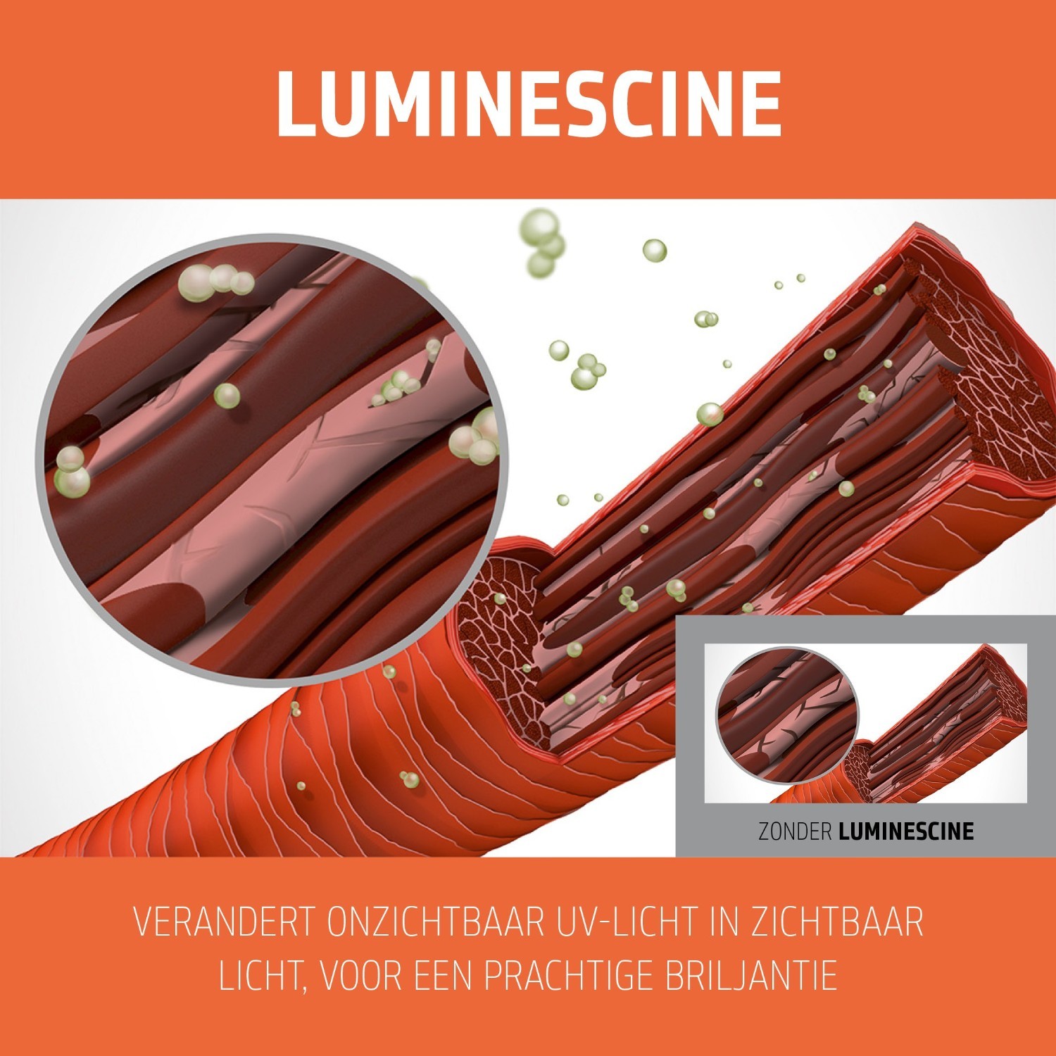 Goldwell Dualsenses Color Revive Farbauffrischender kondicionierius – Kupfer