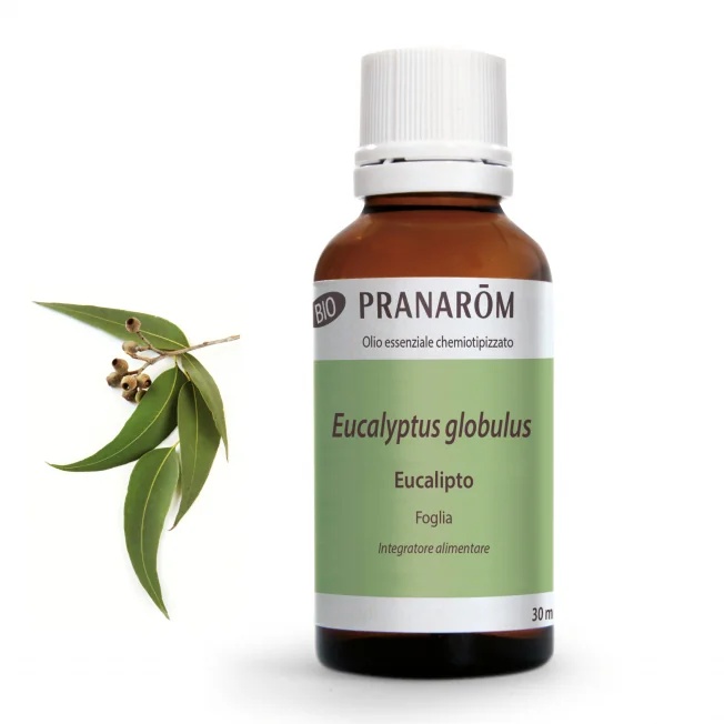 PRANAROM Pranarom Eucalyptus 30 ml etherische olie