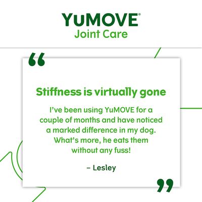 YuMOVE Joint Care dla dorosłych psów