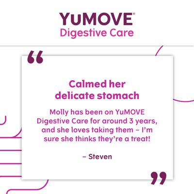 YuMOVE Digestive Care dla wszystkich psów