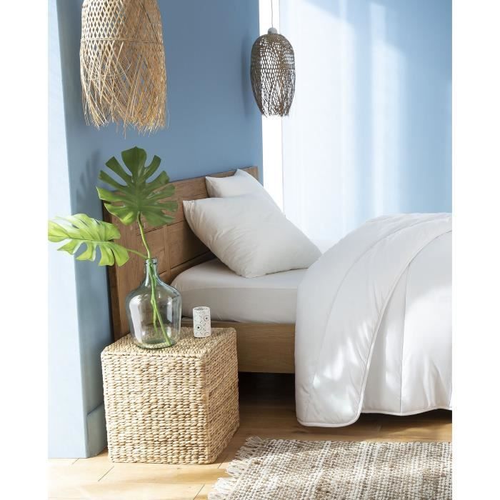 ABEIL Lot de 2 Oreillers FluffyDream® 60 x 60 cm
