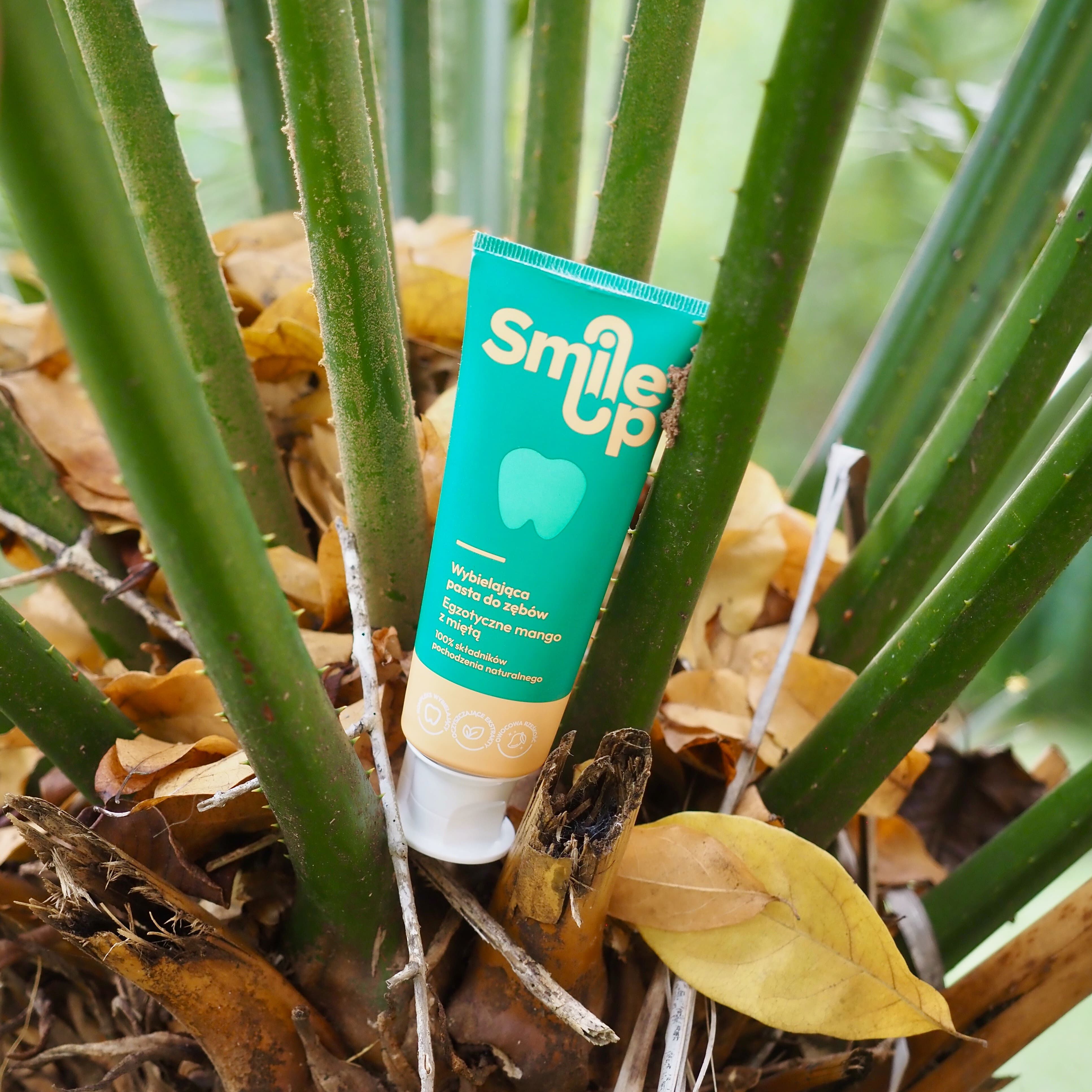 SmileUp