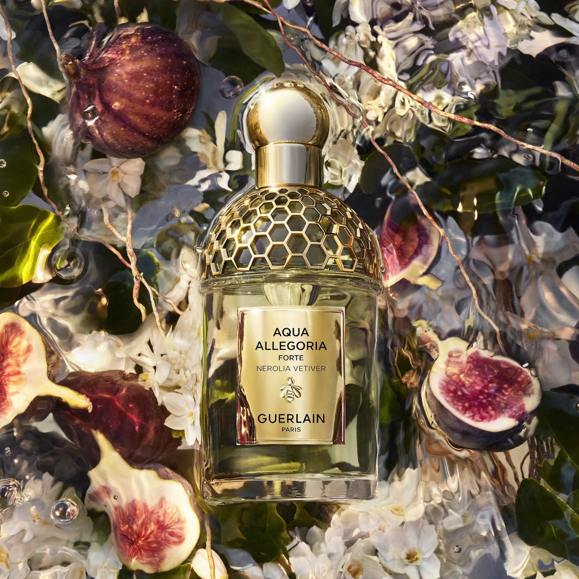 Aqua Allegoria Nerolia Vetiver Forte 75 ml - GUERLAIN