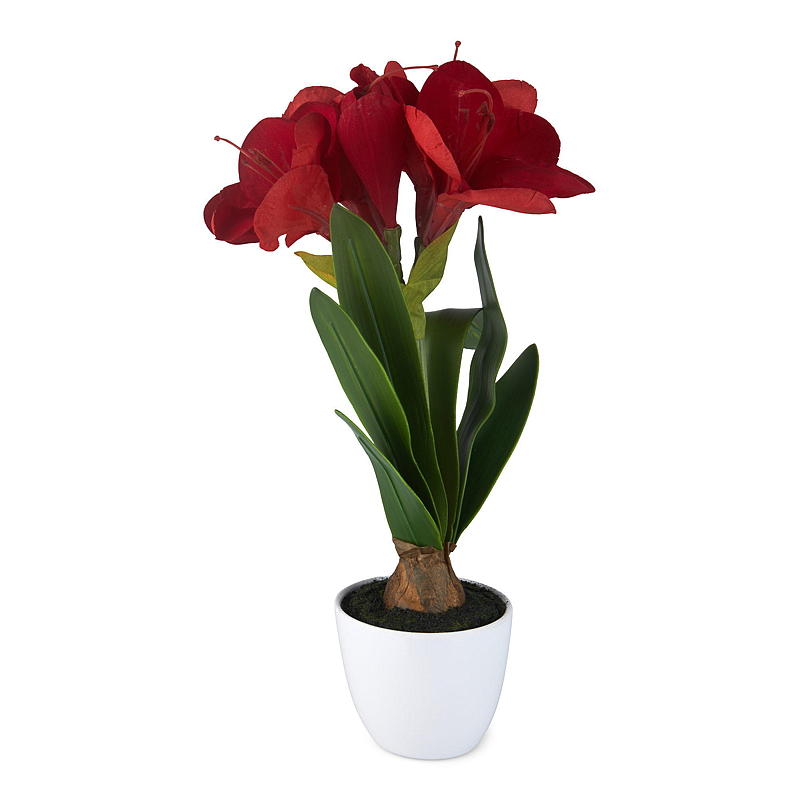 Amarilis de 43 cm en maceta roja