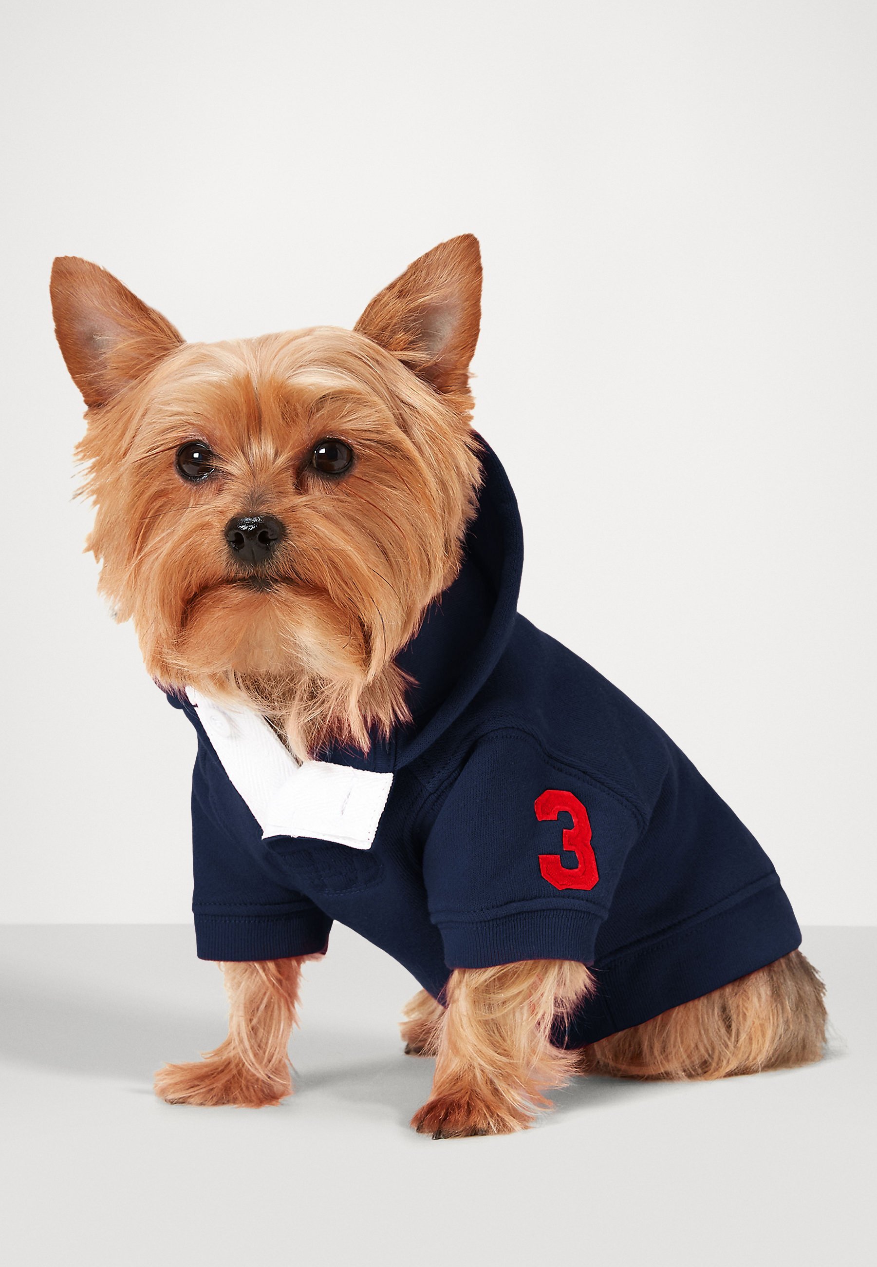 Polo Ralph Lauren huisdier