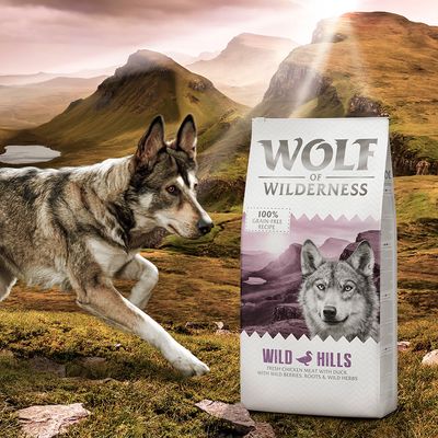 Wolf of Wilderness Adult Mini 