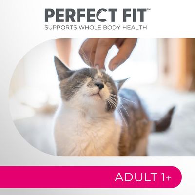 Perfect Fit Adult 1+ s kuřecím masem