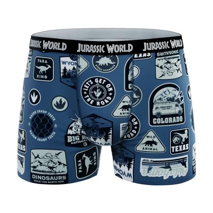 Lot de 4 Boxers 100% Coton Garçon Jurassic Park