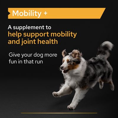 PRO PLAN Mobility Dog Supplement Prášek