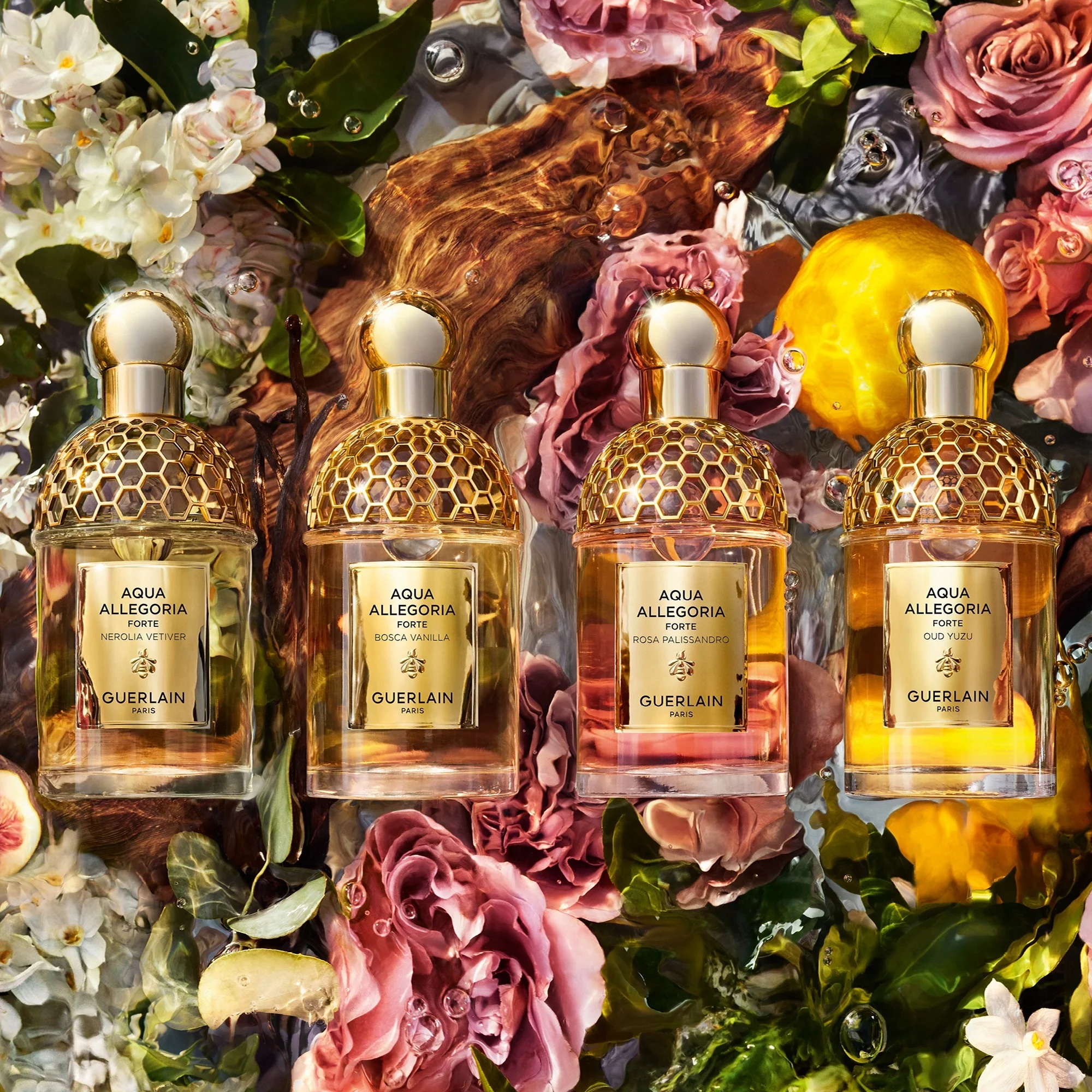 Aqua Allegoria Bosca Vanilla Forte - Eau de Parfum