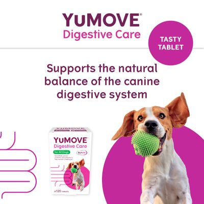 YuMOVE Digestive Care dla wszystkich psów