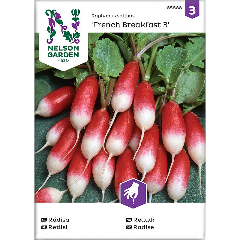 Nelson Garden Seeds -retiisi, ranskalainen aamiainen 3