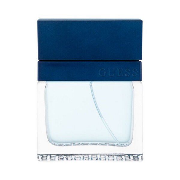 Guess Seductive Homme Blue
